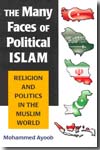 The many faces of political Islam
