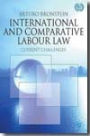 International and comparative Labour Law. 9780230228221