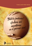 La tutela judicial efectiva del nasciturus en el proceso civil. 9788492788552