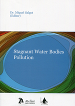 Stagnant water bodies pollution
