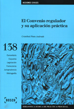 El convenio regulador y su aplicación práctica. 9788497906821