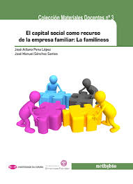El capital social como recurso de la empresa familiar. 9788497458801