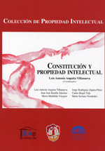 Constitución y propiedad intelectual. 9788429017687