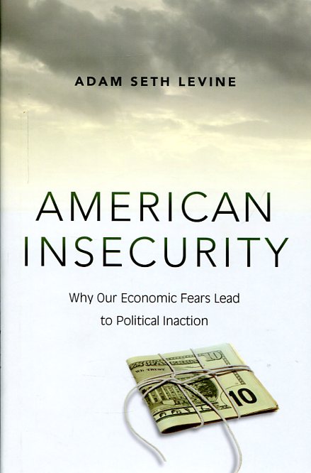 American insecurity