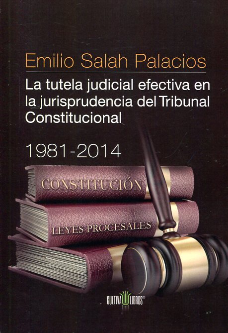 La tutela judicial efectiva en la jurisprudencia del Tribunal Constitucional