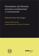 Panorámica del Derecho procesal constitucional y convencional