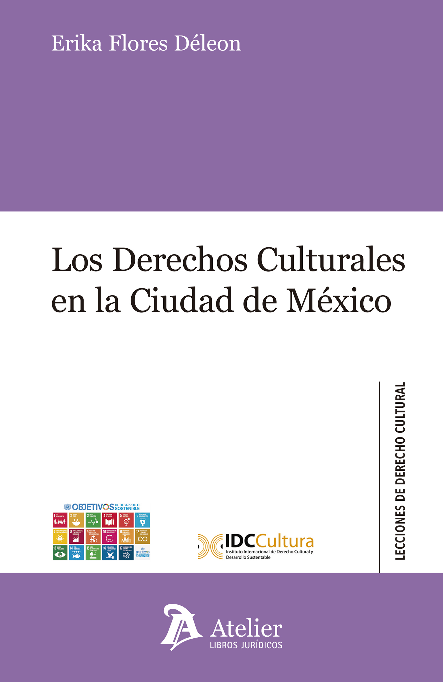 Los derechos culturales en la Ciudad de México. 9788417466169