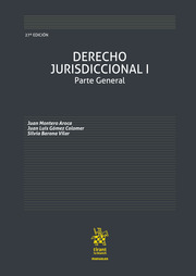 Derecho Jurisdiccional I. 9788413139210