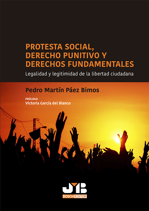 Protesta social, Derecho punitivo y derechos fundamentales. 9788419045744