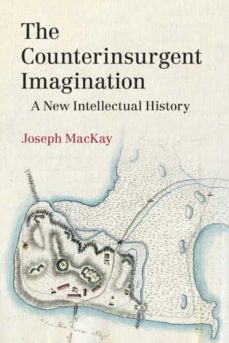 The counterinsurgent imagination