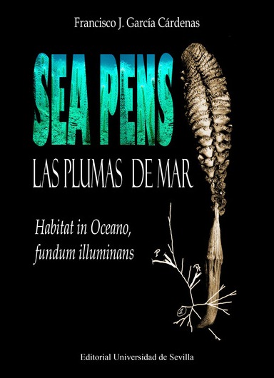 Sea Pens. Las plumas del mar