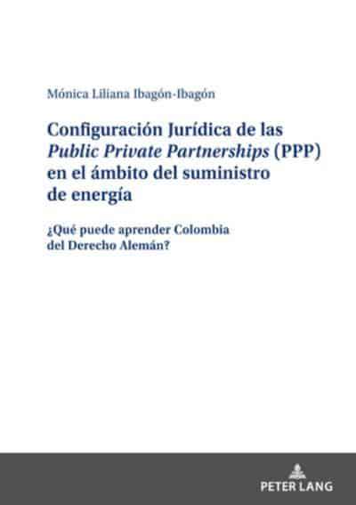 Configuración Jurídica de las Public Private Partnerships (PPP) en el ámbito del suministro de energía