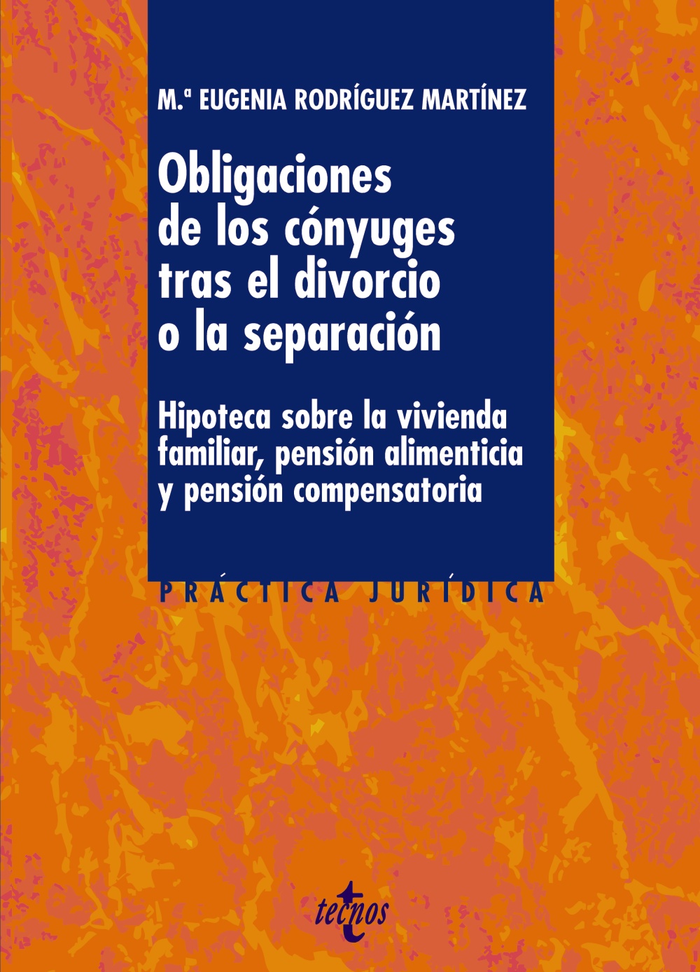 Obligaciones de los cónyuges tras el divorcio o la separación. 9788430955183