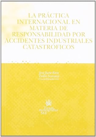 La práctica internacional en materia de responsabilidad por accidentes industriales catastróficos. 9788484561903