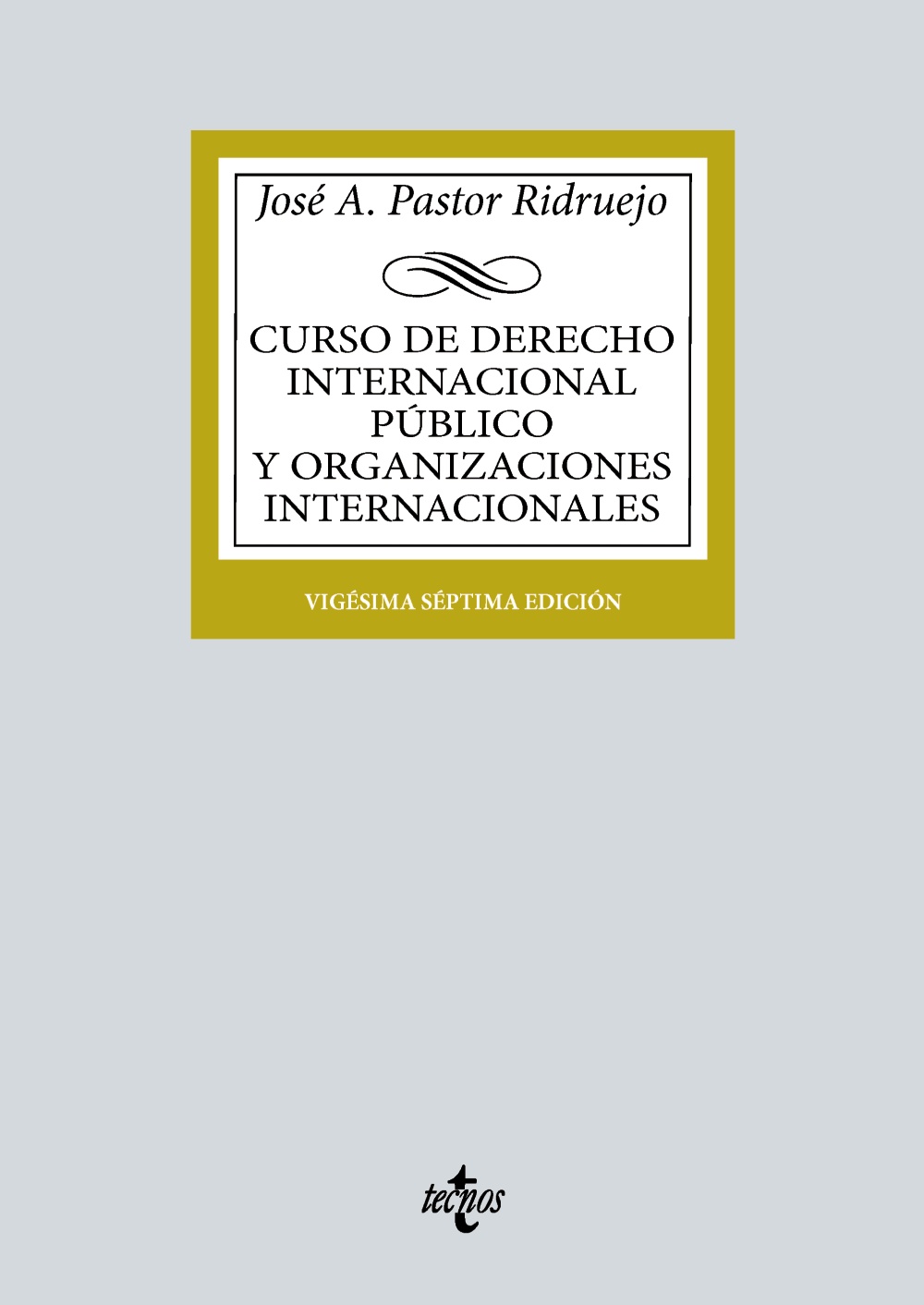 Curso de Derecho Internacional Público y de Organizaciones Internacionales. 9788430987863