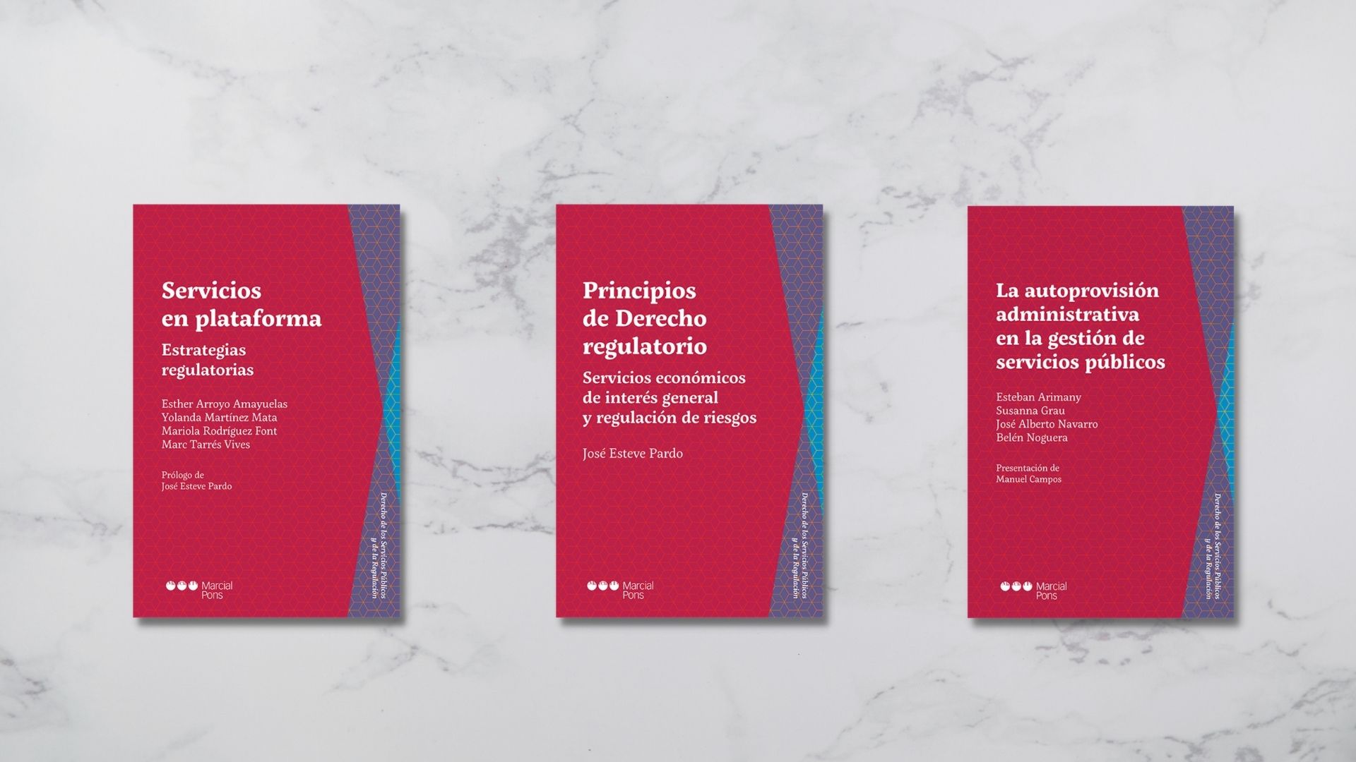 Presentación de la colección 'Derecho de los Servicios Públicos y de la Regulación'. 501