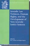 Juvenile Law violators, Human Rights, and the development of new juvenile justice systems. 9781841136363