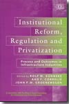 Institutional reform, regulation and privatization