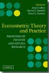 Econometric theory and practice. 9780521807234