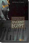 An introduction to the archaeology of ancient Egypt