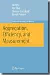 Aggregation, efficiency, and measurement