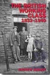 The british working class, 1832-1940. 9780582381308