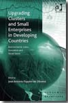 Upgrading clusters and small enterprises in developing countries