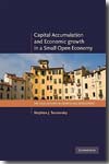 Capital accumulation and economic growth in a small open economy