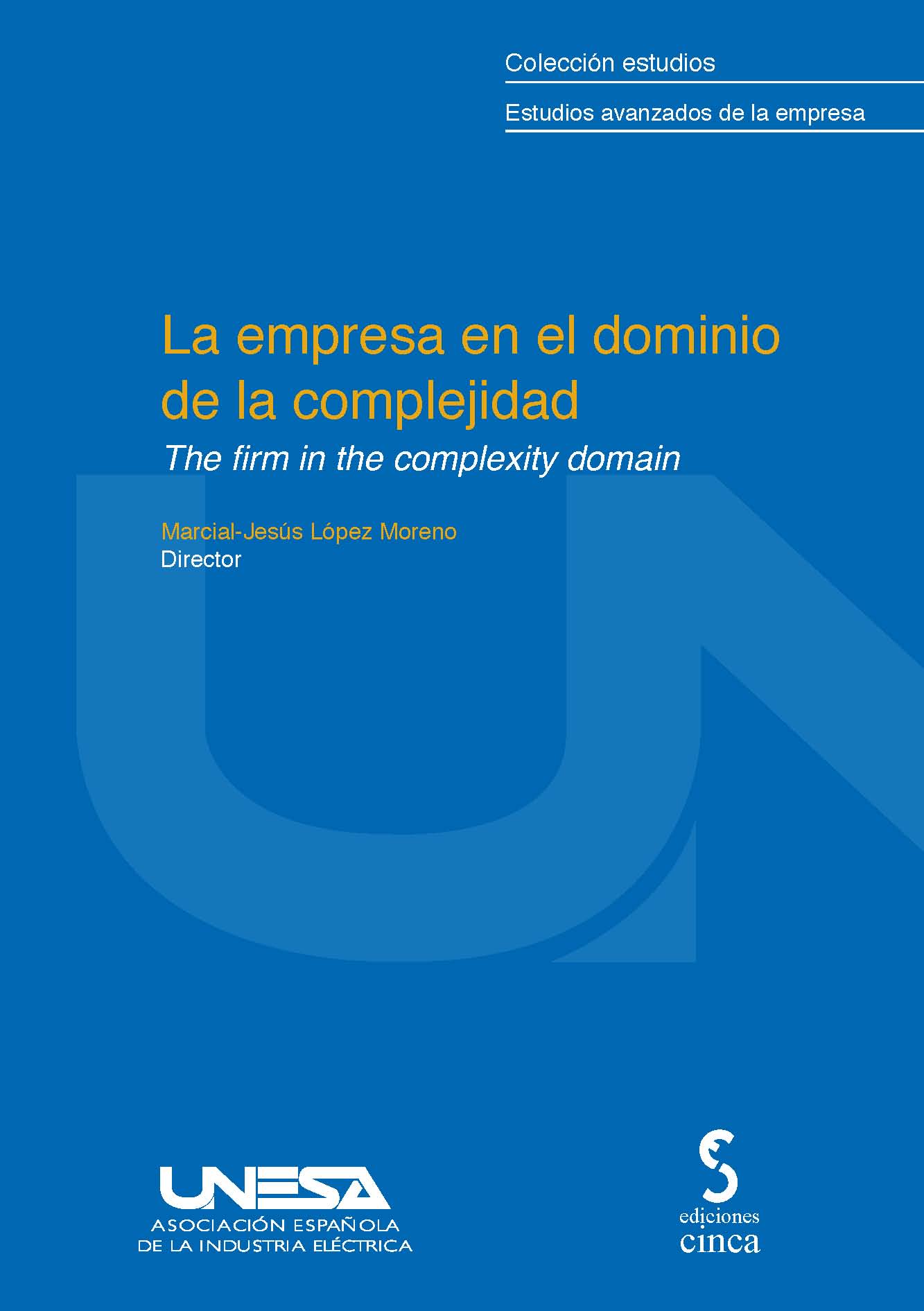 La empresa en el dominio de la complejidad = The firm in the complexity domain