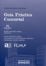 Guía práctica concursal. 9788490140390