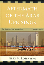 Aftermath of the arab uprisings