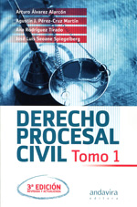 Derecho procesal civil. 9788484086512