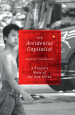 The accidental capitalist. 9780745332307