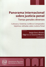 Panorama internacional sobre justicia penal: temas penales diversos. 9789703244164