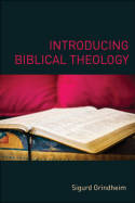 Introducing biblical theology. 9780567456878