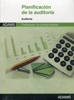 Planificación de la auditoría