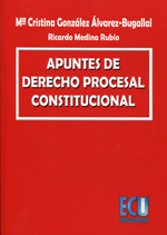 Apuntes de Derecho procesal constitucional. 9788484548102
