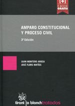 Amparo constitucional y proceso civil. 9788490861073