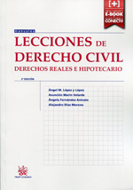 Lecciones de Derecho civil. 9788490863466