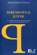 Derecho penal juvenil. 9789974708266