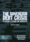 The sovereign debt crisis. 9789461383372
