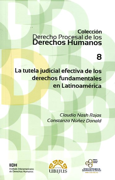La tutela efectiva de los Derechos Fundamentales en Latinoamérica. 9786079389291