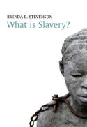 What is slavery?. 9780745671512