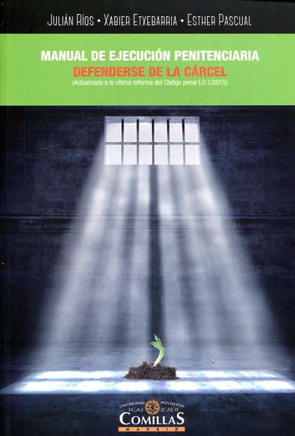Manual de ejecución penitenciaria. 9788484686255