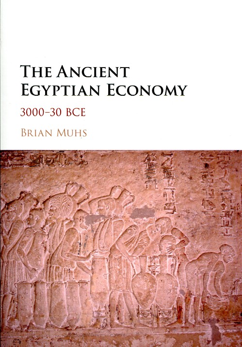 The ancient egyptian economy. 9781107113367
