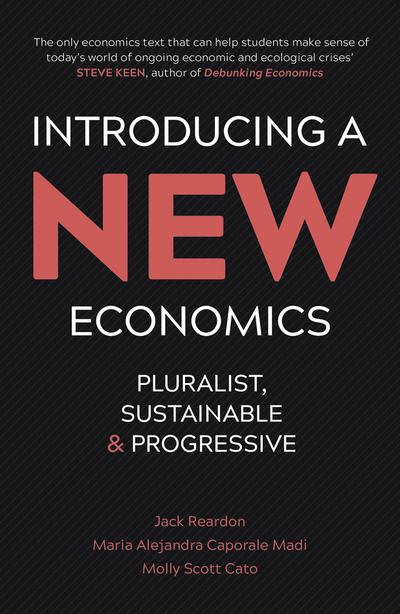 Introducing a new economics. 9780745334882