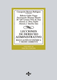 Lecciones de Derecho administrativo. 9788430973552