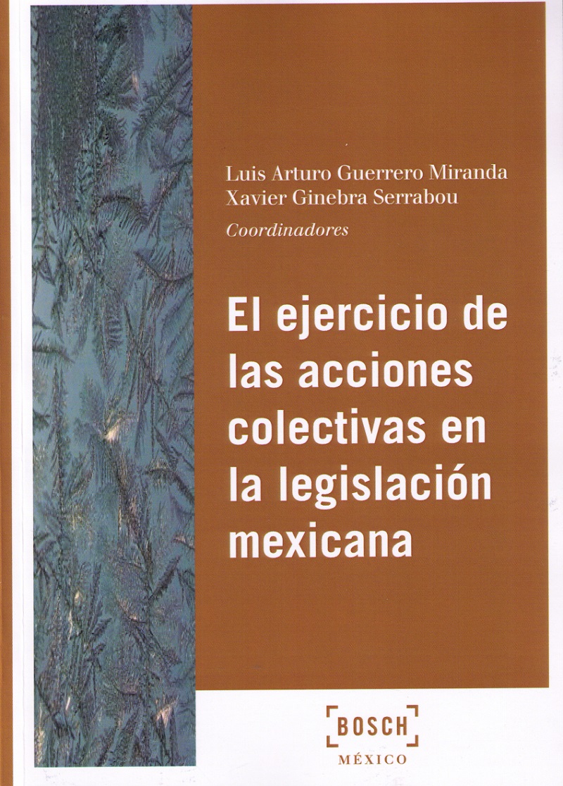 El ejercicio de las acciones colectivas en la legislación mexicana. 9788490902868