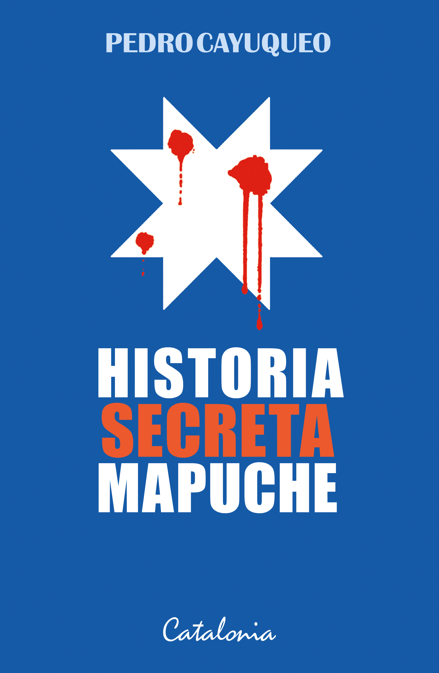 Historia secreta mapuche. 9789563244175