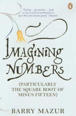 Imagining numbers